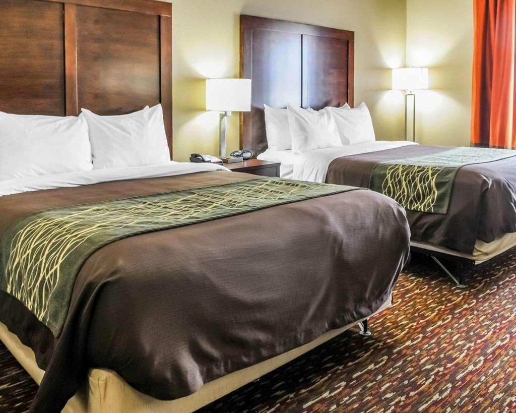Comfort Inn & Suites Artesia Pokoj fotografie