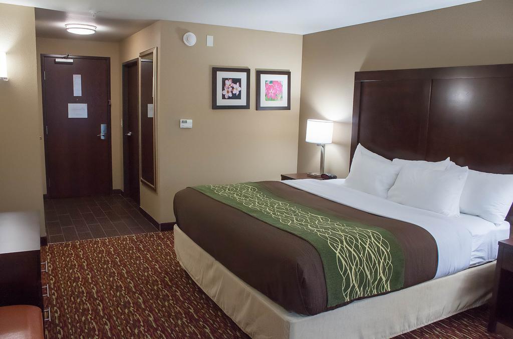 Comfort Inn & Suites Artesia Pokoj fotografie