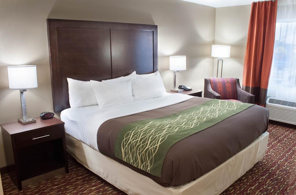 Comfort Inn & Suites Artesia Pokoj fotografie
