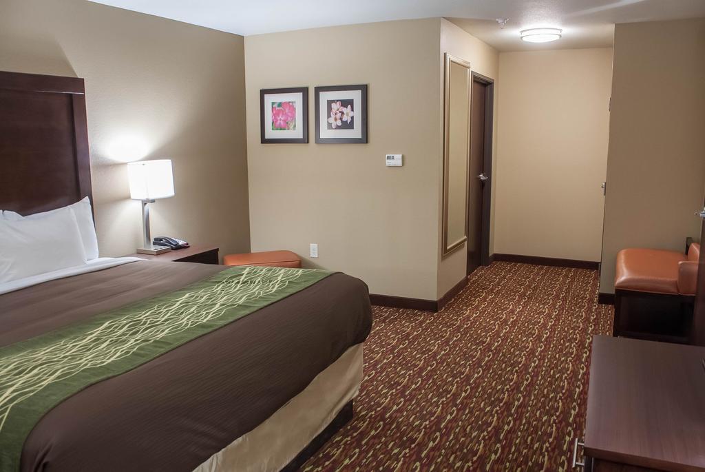 Comfort Inn & Suites Artesia Pokoj fotografie