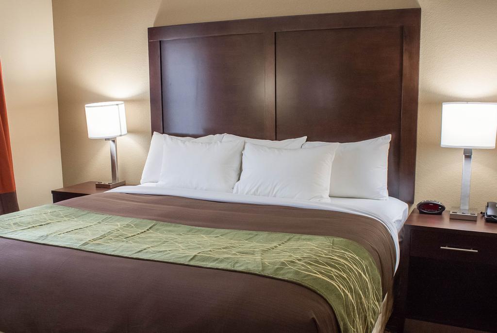 Comfort Inn & Suites Artesia Pokoj fotografie