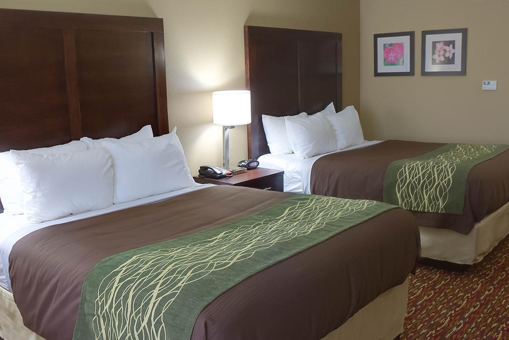 Comfort Inn & Suites Artesia Pokoj fotografie